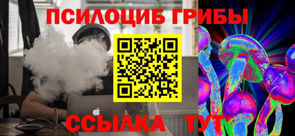 Галлюциногенные грибы Psilocybe Славянск-на-Кубани