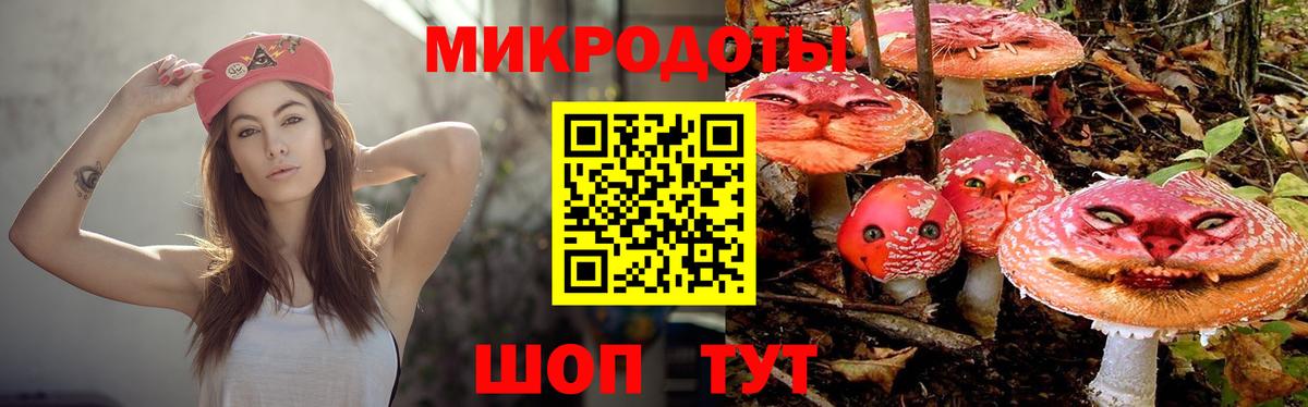 Галлюциногенные грибы Cubensis  Вход с VPN  Славянск-на-Кубани 